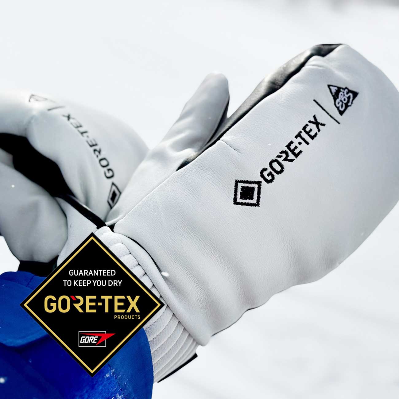 GLOVE(GORE-TEX)