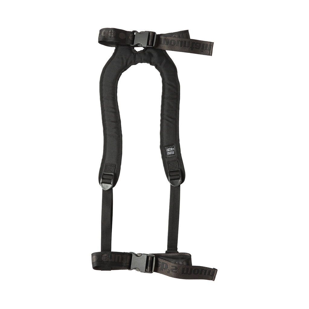 BACK BELT