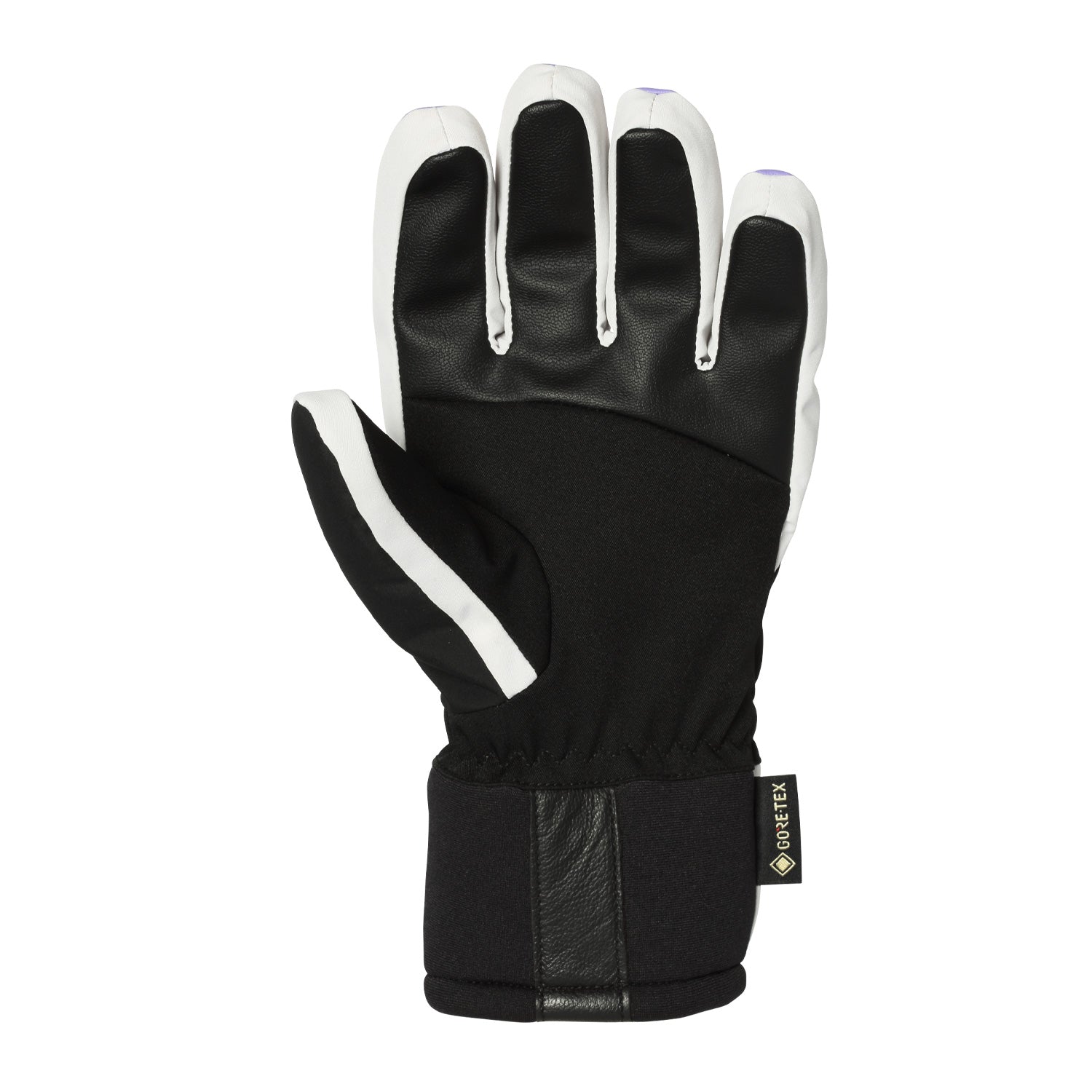 2026年9月入荷予定　OLGA 5