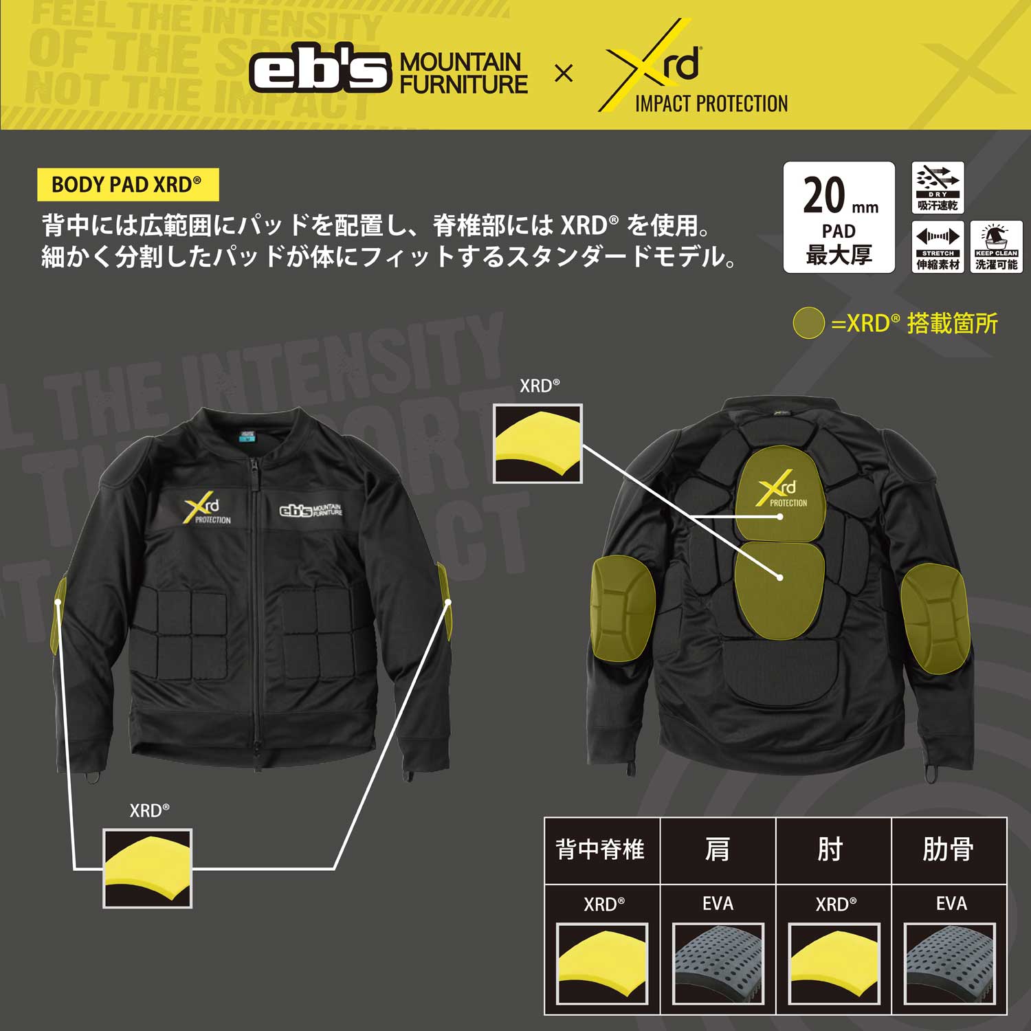 2026年10月入荷予定　BODY PAD XRD®