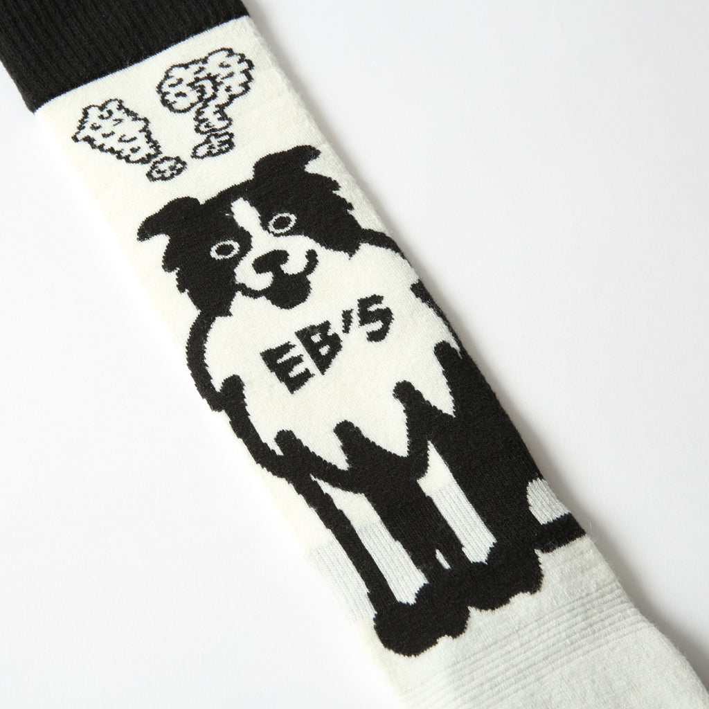 2026年9月入荷予定　VERY WARM DOG