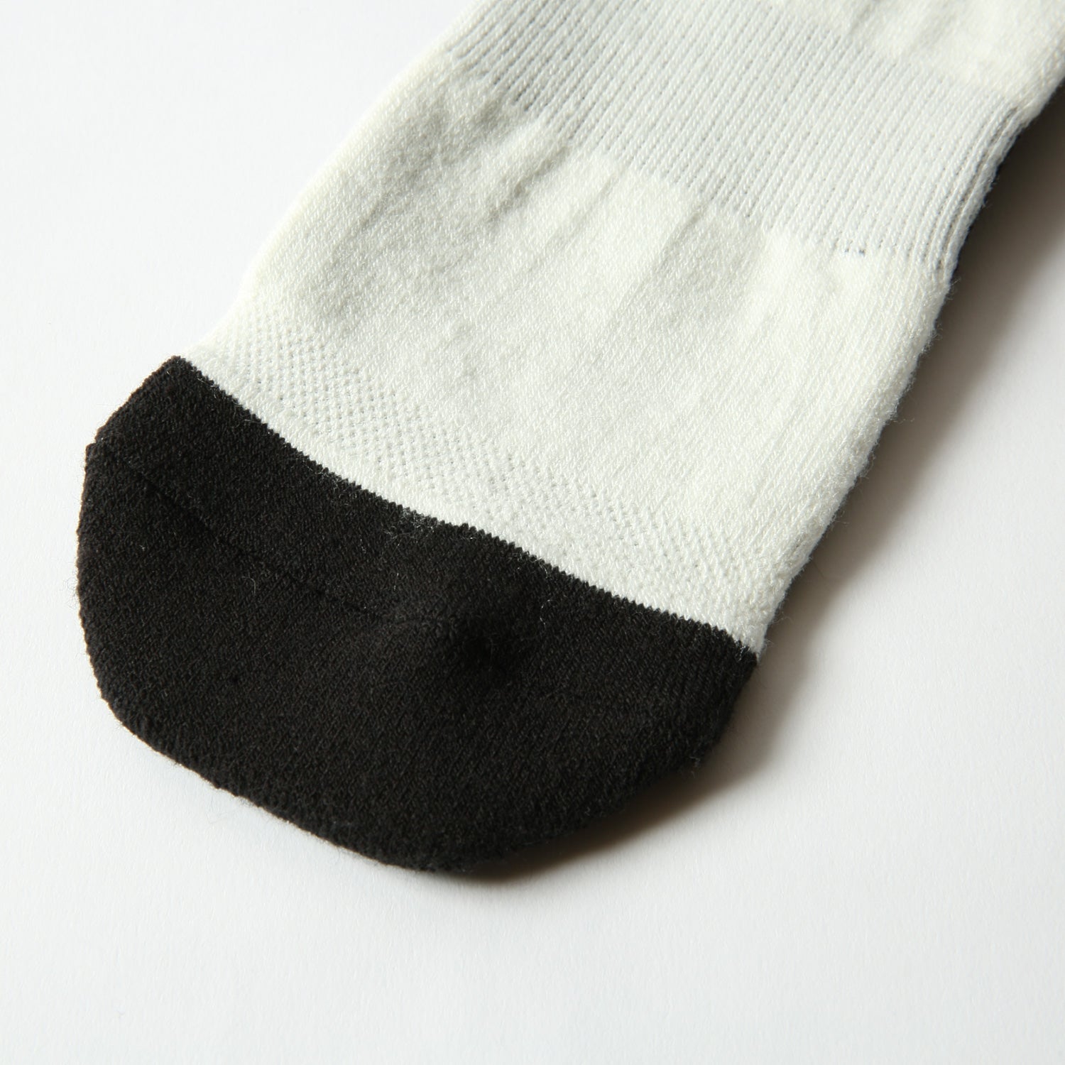 2026年9月入荷予定　VERY WARM DOG