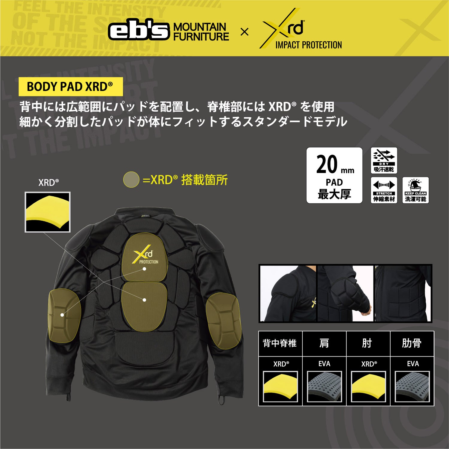 BODY PAD XRD®