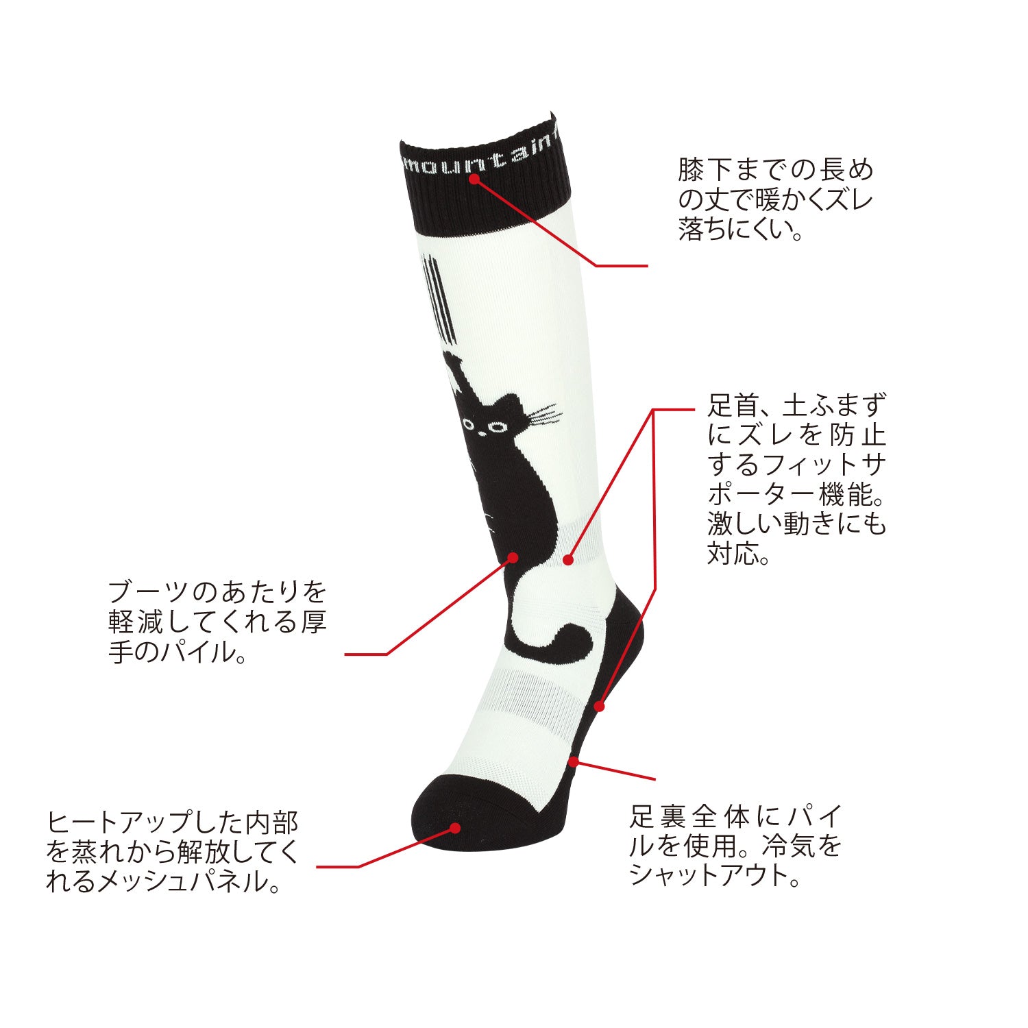 2026年9月入荷予定　VERY WARM DARUMA